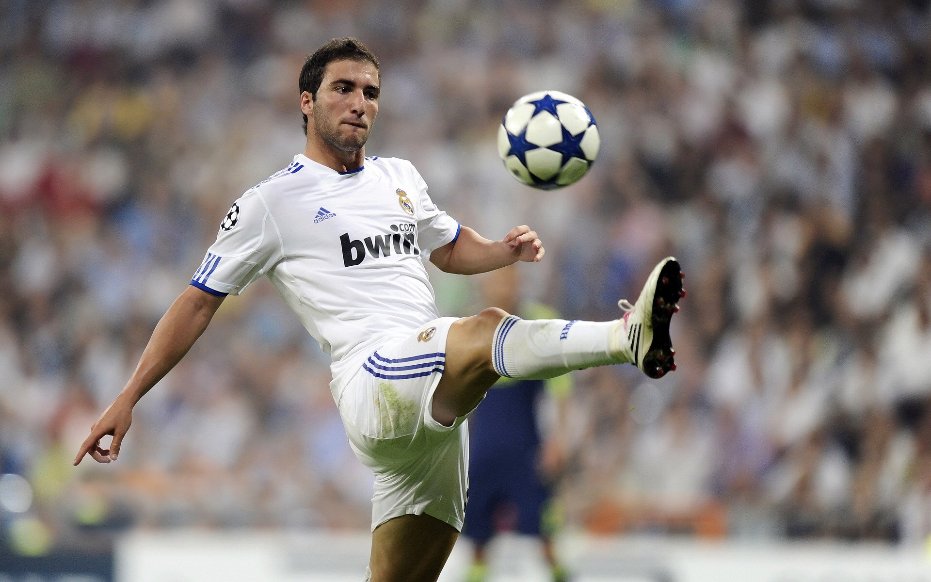 “霍斯特：南非羚羊队的防守核心，带来胜利希望”