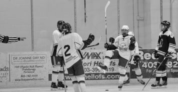 世界冰球：加拿大队霸气夺冠，金牌大满贯！，冰球加拿大人队